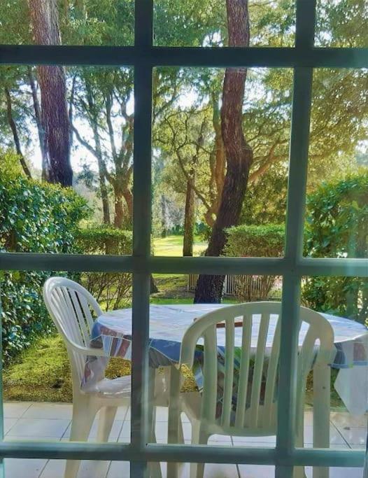 Appartement "Chez Mag Et Jo" Мольез-е-Маа Экстерьер фото