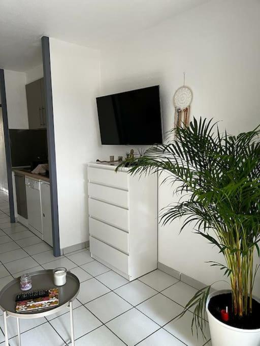 Appartement "Chez Mag Et Jo" Мольез-е-Маа Экстерьер фото